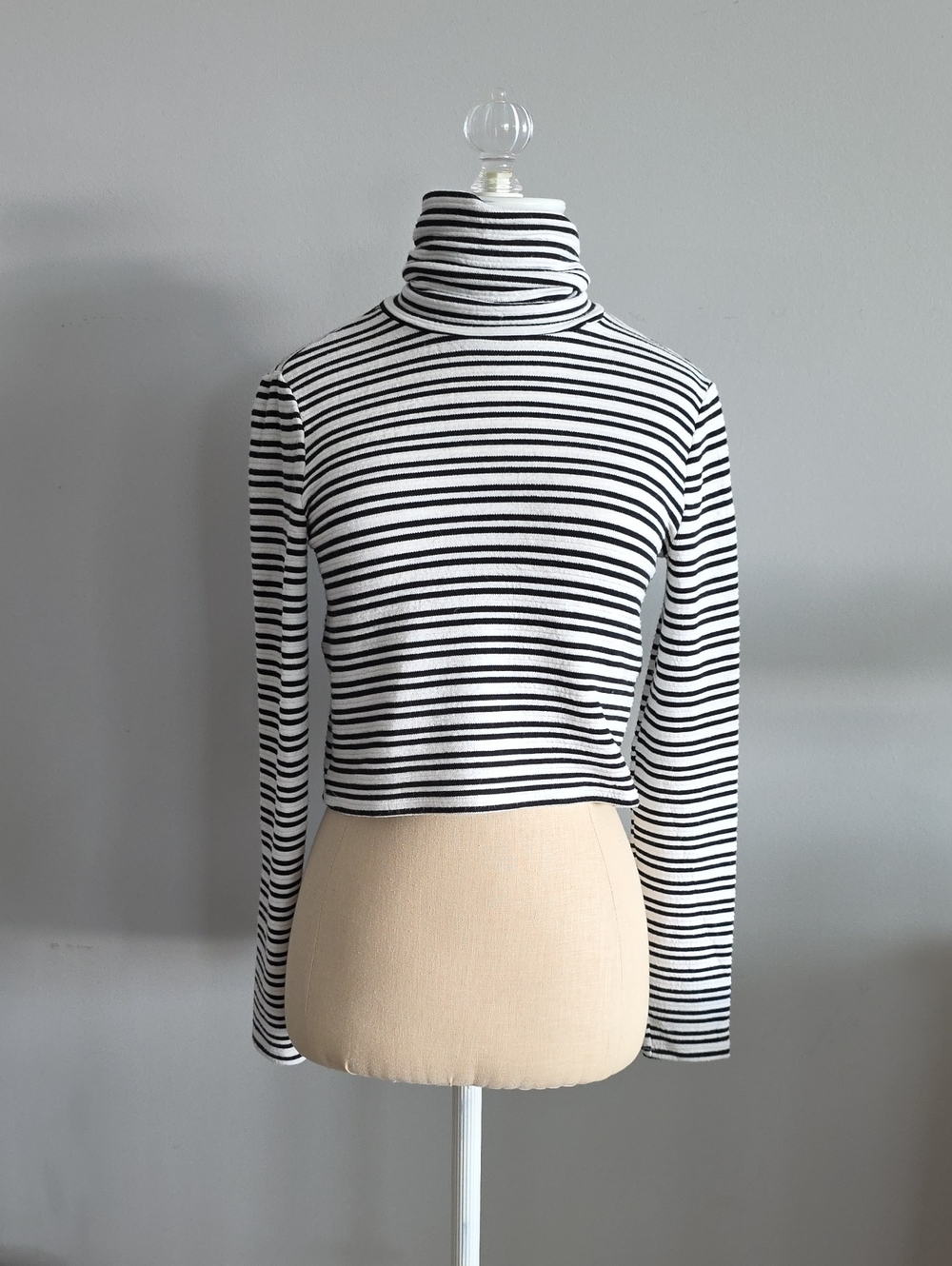 Reformation Striped Black & White Turtleneck Crop Top